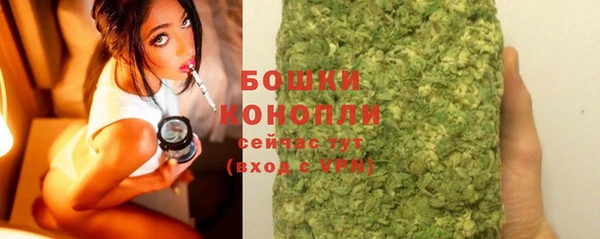 стаф Магадан