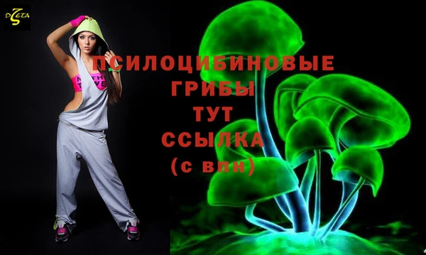 apvp Майский