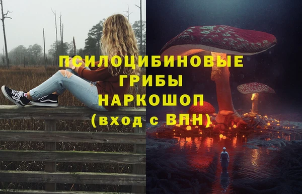 прущие крисы Мегион
