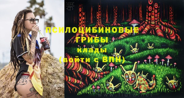 стаф Магадан