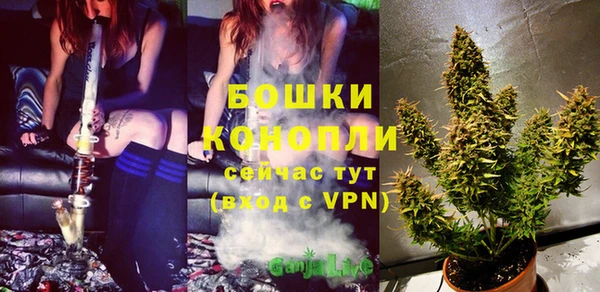 стаф Магадан