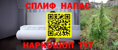 СК Нягань