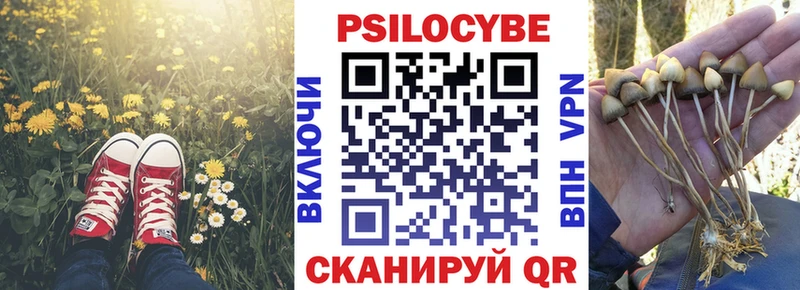 Псилоцибиновые грибы мицелий Осинники