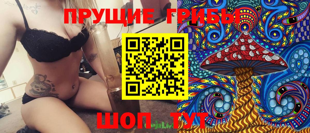 Псилоцибиновые грибы мицелий Осинники
