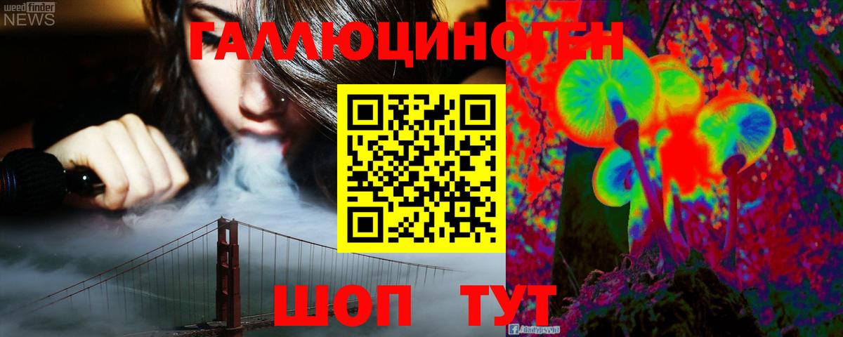 Псилоцибиновые грибы мухоморы Осинники